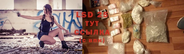 гидра Майский