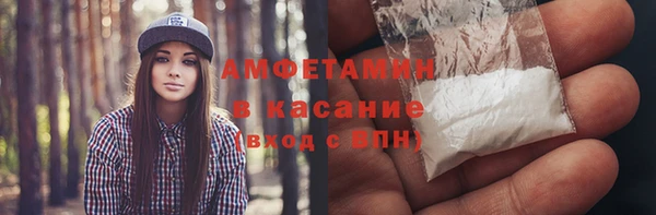 гидра Майский