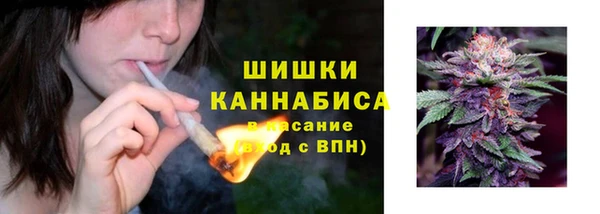 Альфа ПВП Магас