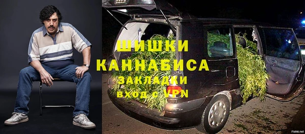 гидра Майский