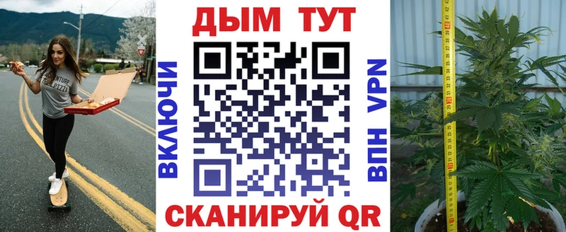 купить  сайты  Одинцово  блэк спрут как войти  Бошки Шишки OG Kush 